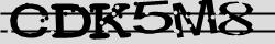 Retype the CAPTCHA code from the image